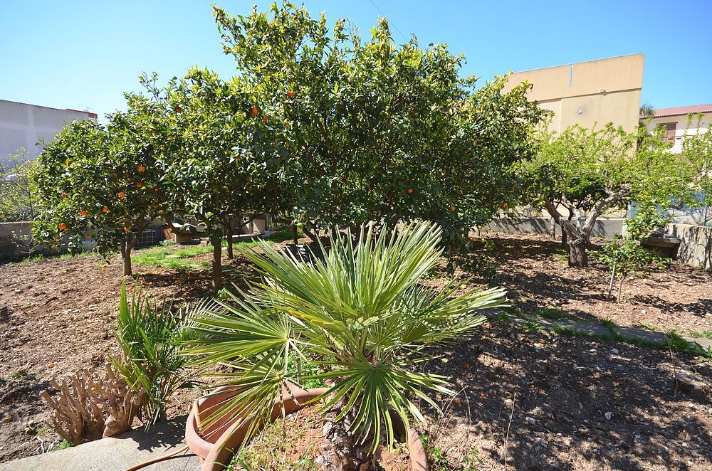 San Vito Lo Capo informazioni turistiche: trova hotel, B&B, Case Vacanza