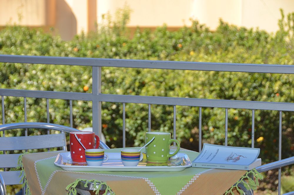 Il Giardino degli Agrumi