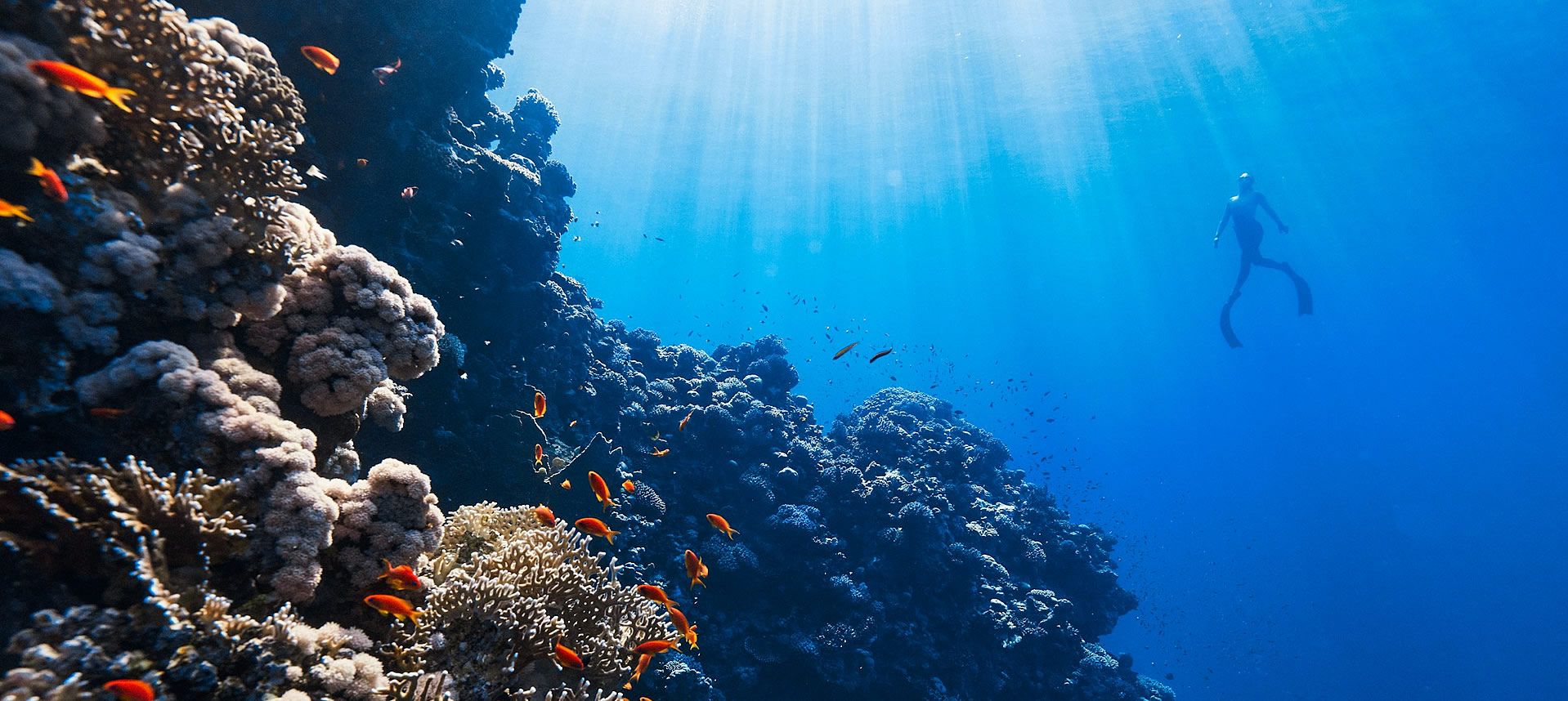 San Vito Lo Capo dive sites