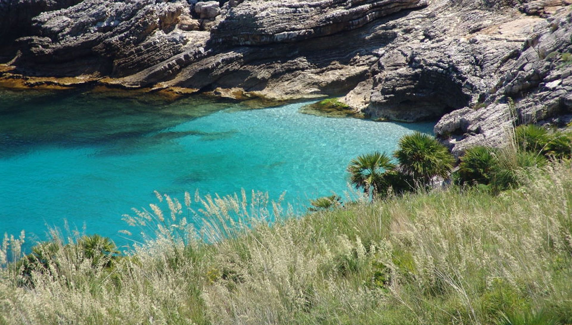 Valentina Escursioni in barca