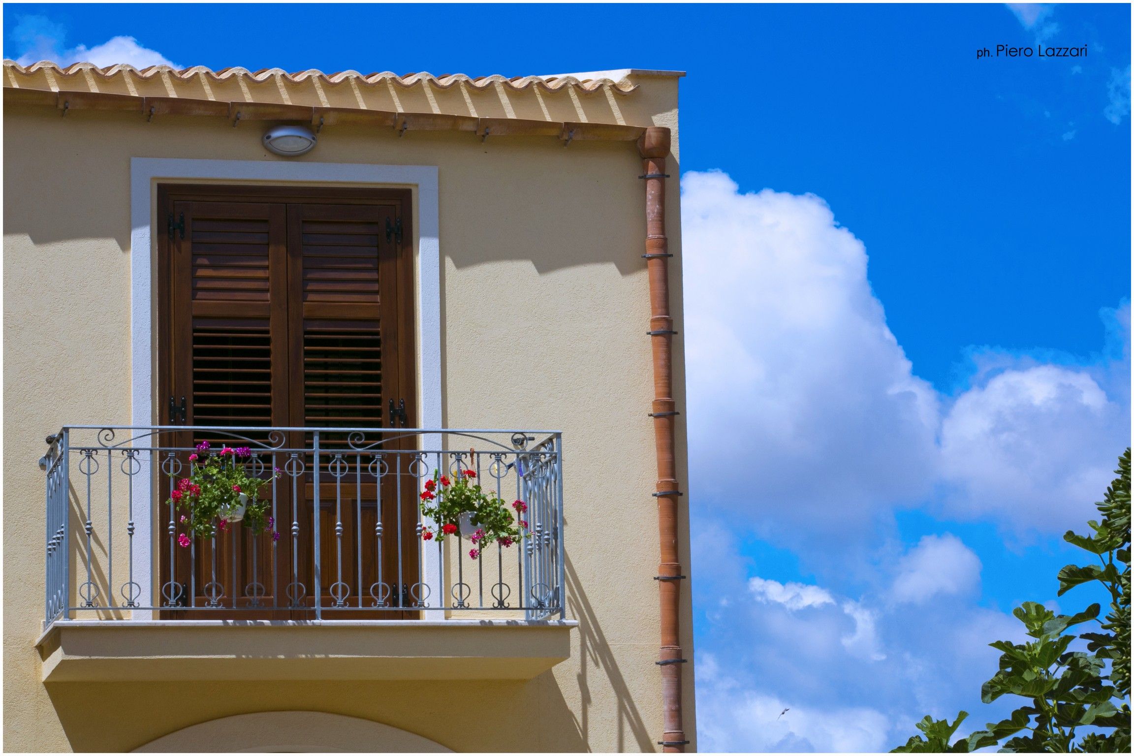 Trigrana Vacanze Hotel