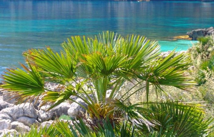 riserva naturale dello zingaro 