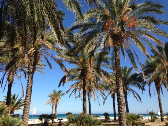 Tre Passi dal Mare B & B