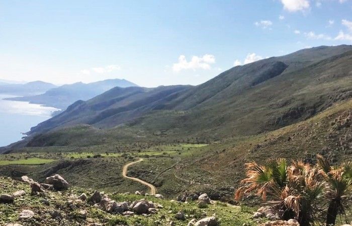 Dopo l'incendio torna la vita nella Riserva dello Zingaro