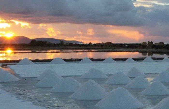 Tutti a bordo! …alla scoperta dell’affascinante mondo delle saline.