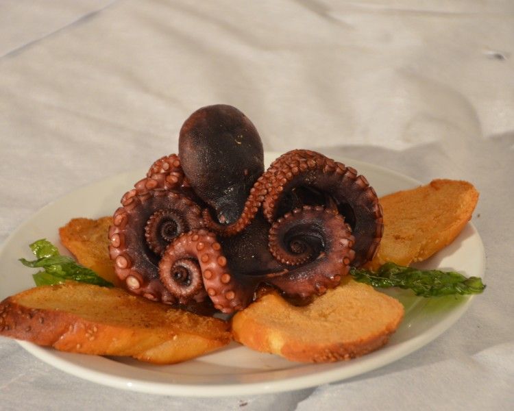 San Vito Lo Capo informazioni turistiche: trova hotel, B&B, Case Vacanza