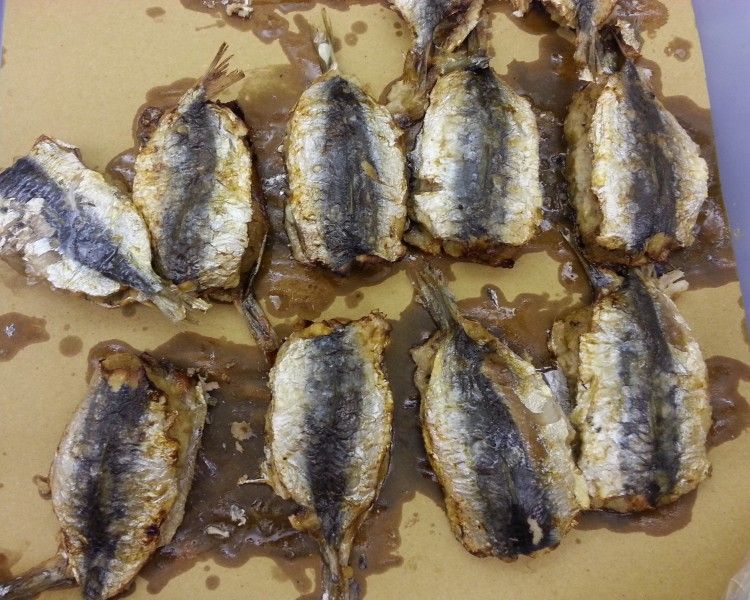 San Vito Lo Capo informazioni turistiche: trova hotel, B&B, Case Vacanza