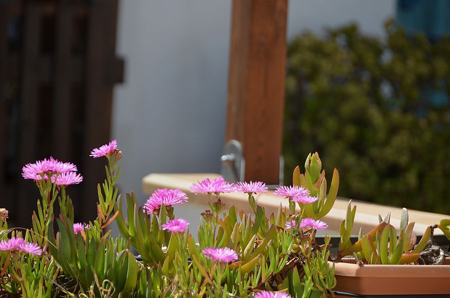 B & B Ambra